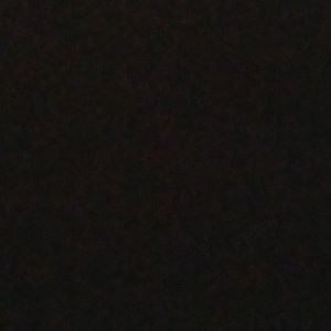 Meet your Posher, Betsy